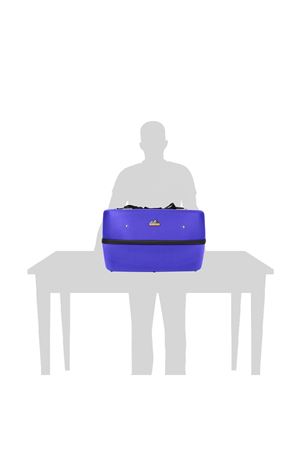 THERMATLON VACCINE AND MEDICINE COOLER