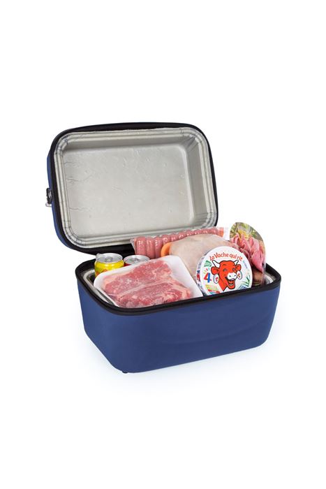 Thermatlon Picnic Cooler 8 LT
